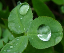 Rain drops screensaver 68647 scr